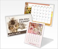 卓上プラスチックケース入りカレンダー印刷