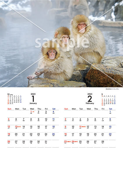 Animal calendar 1月／2月