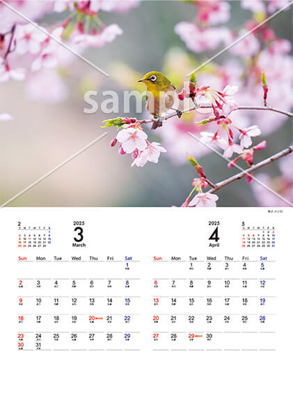 Animal calendar 3月／4月