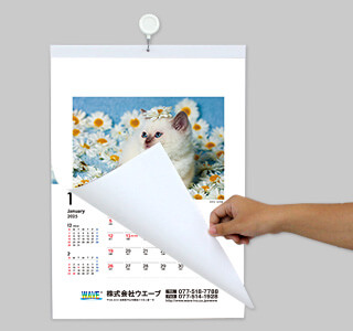 [名入れ]ECO壁掛けカレンダー(タンザック)  猫 使用イメージ